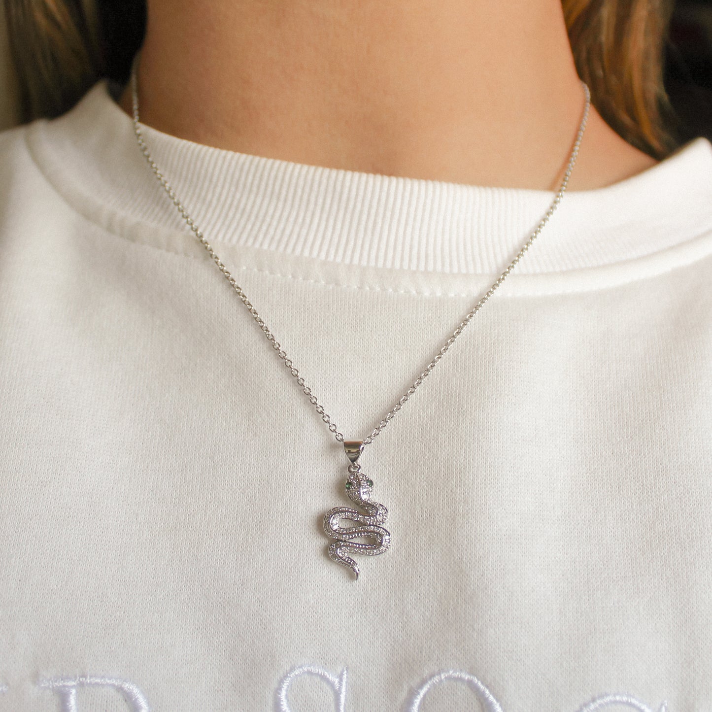 COLLAR SERPIENTE PLATEADO